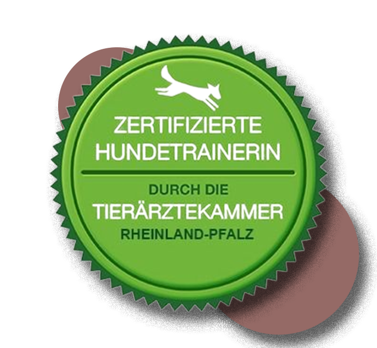 bild dienstleistungen