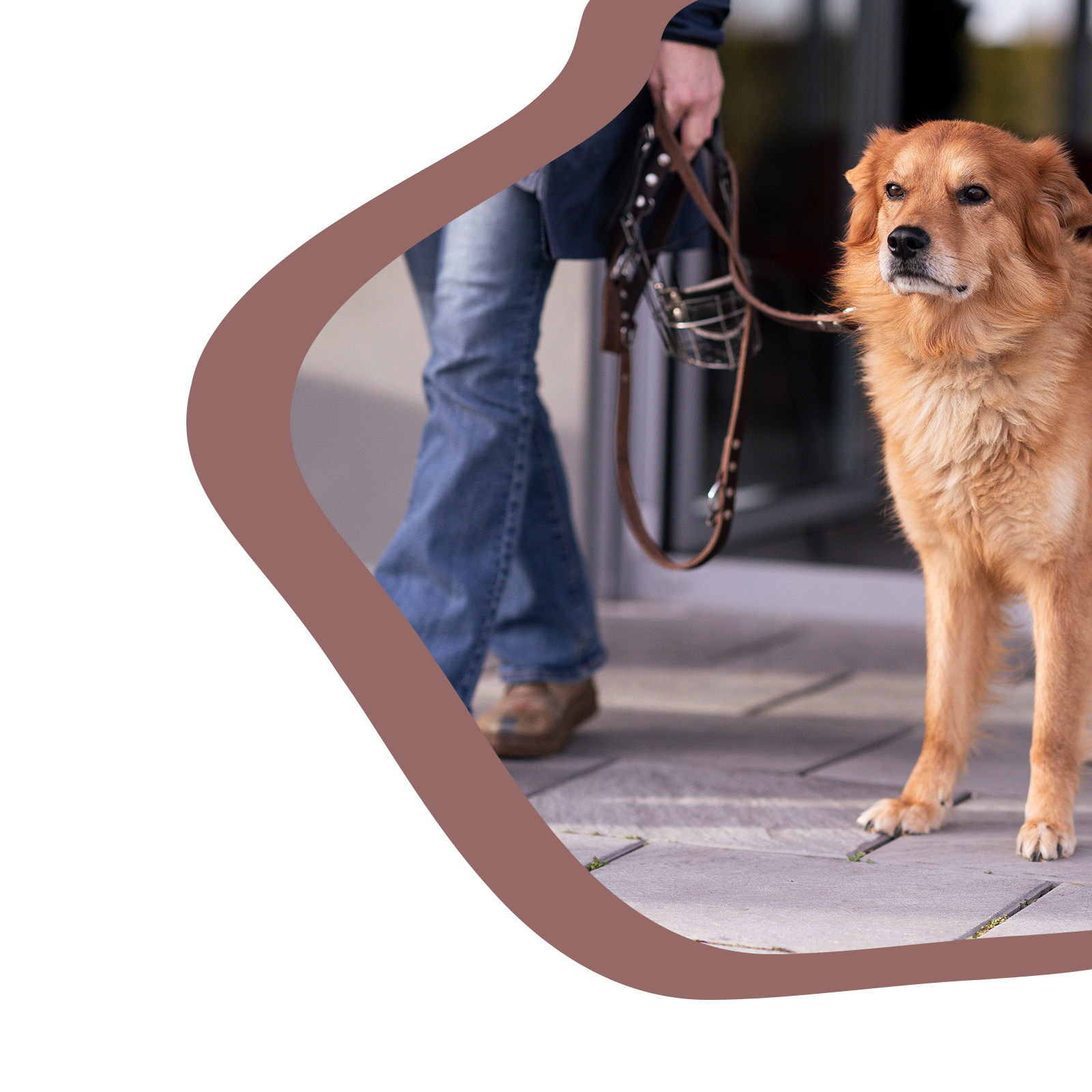 bild startseite nina