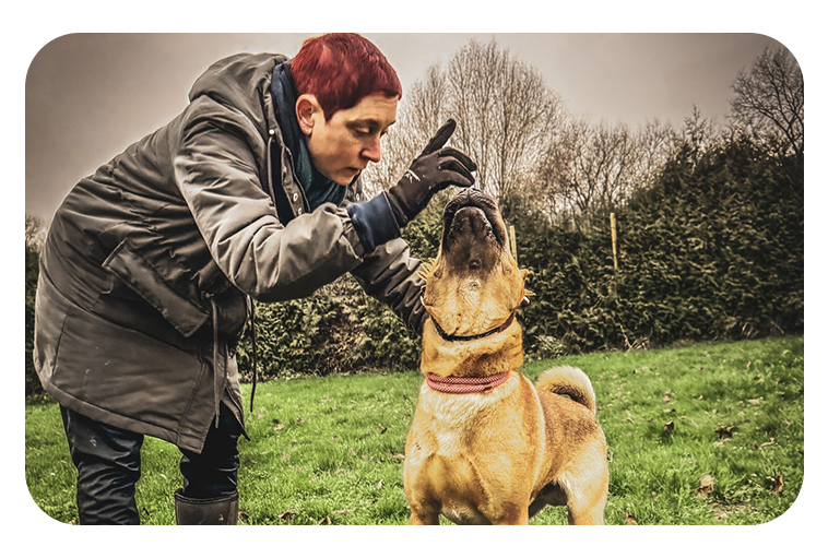 leistung nina hundetraining