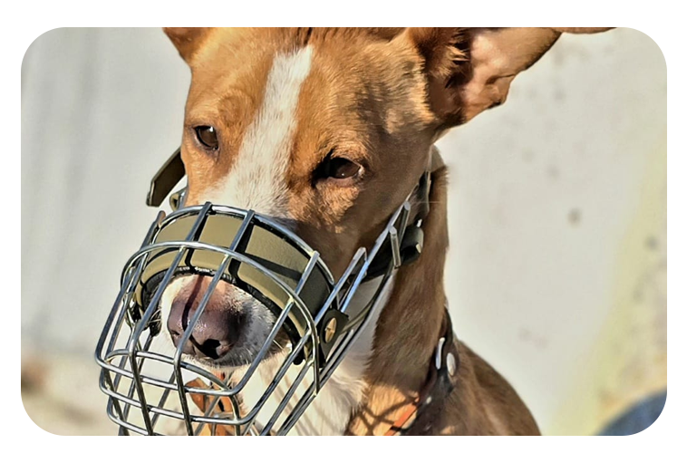 leistungen Nina Maulkorb